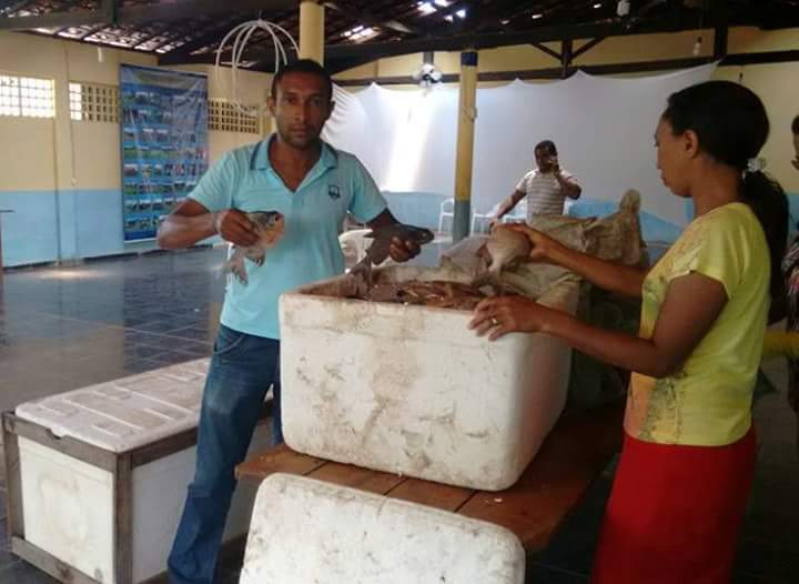 Prefeitura de Antônio Almeida-PI realiza distribuição de peixes às famílias carentes.